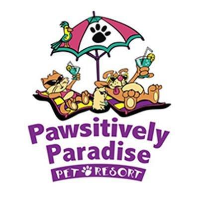 Pawsitively Paradise Pet Resort