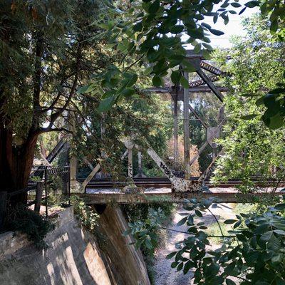 A bridge with railroad tracks running parallel to El Palo Alto Park!