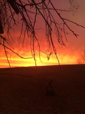 Another sunset pic from Hole #7.