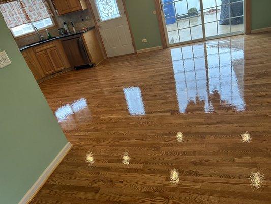 Refinishing floors