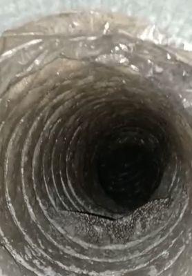 Moldy air duct