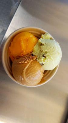 Large Mango, Dulce de Leche and Mint Chip