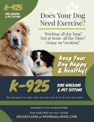 K-925 Dog Walking & More!