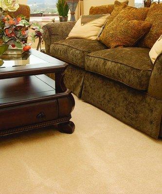 The upholstery in your home gets used a lot and overtime can accumulate a lot of dust and allergens...