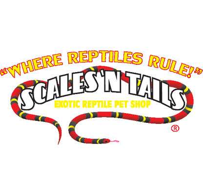 Scales 'N Tails Logo