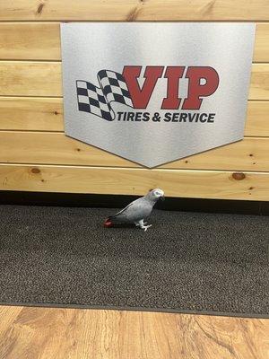 VIP Tires & Service