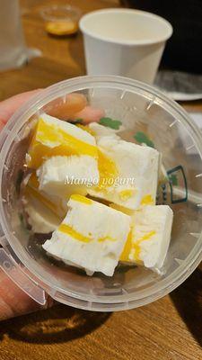 Frozen mango cube dessert