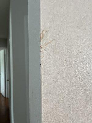 Poop smeared on the wall