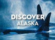 Is it time to take a break from the heat - then let me help you Discover the beauty of ALASKA!