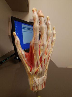 An orthopedist specializing in hand and arm surgery.