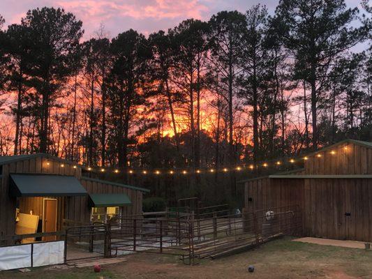 Sunset at Fantana Farm and Kennel. A beautiful resort setting for your fur baby. Don't they deserve it??? Sorry...we don't board humans!