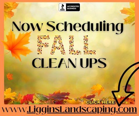 Its that time of the year again, Fall Yall is right around the corner NOW SCHEDULING FALL CLEAN UPS ONLINE