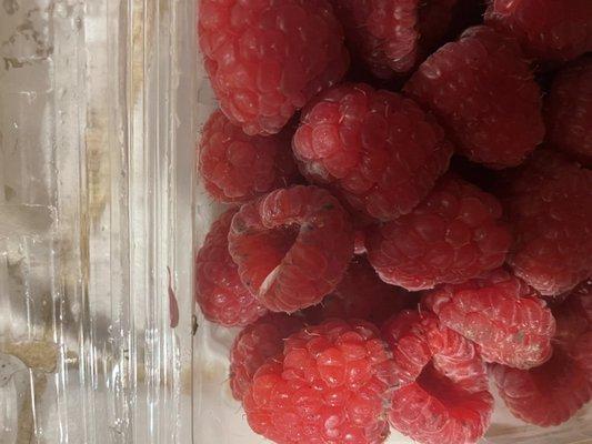 Moldy raspberries