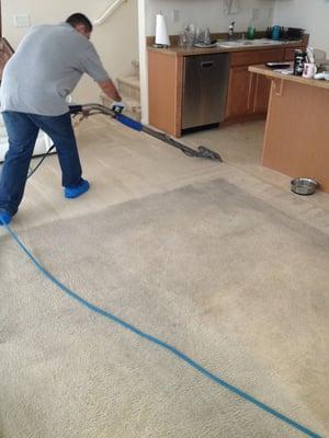 Professional carpet cleaning by J2 Cleaning Las Vegas with Titanium 6 jets wands (not 2 or 4 jets that can leave streaks)