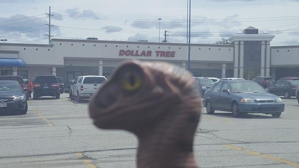 Bob the Raptor Says "Mammals come here to things for few paper rectangles."