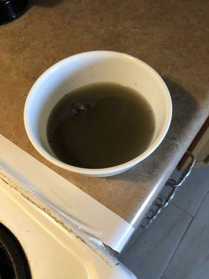 The rinse water from my Kirby after Stanley Steamer of Springdale supposedly sanitized and cleaned my hall and a small bedroom.