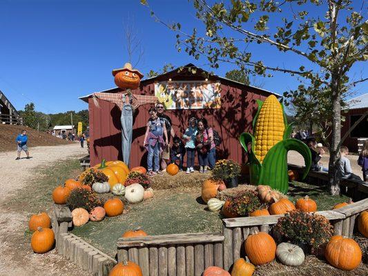 Exeter corn maze