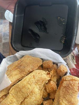 melted styrofoam, BURNT tater tots and undercooked fish.