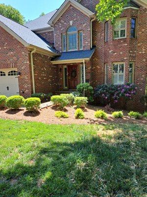 Trimming bushes