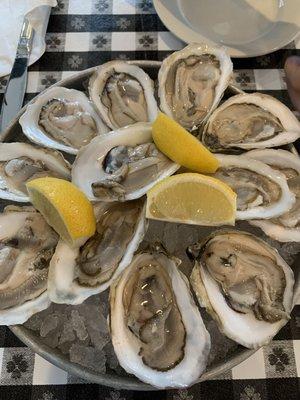 Oysters