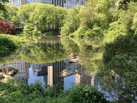 The Pond at Central Park