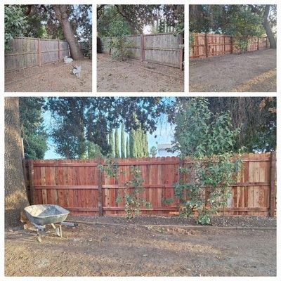 Before and after pics of a customers old fence and new fence.