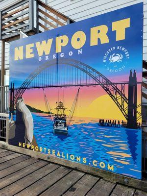 Newport Sea Lion Docks