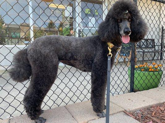 Zooey's first beautiful groom at DP w/ Kelsey