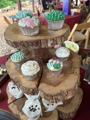 Succulent cupcakes