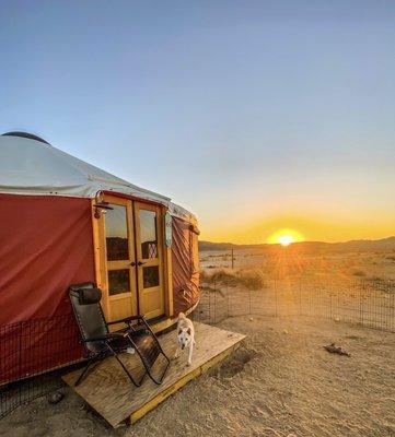 Pacific Yurts