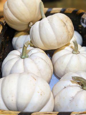 White pumpkins