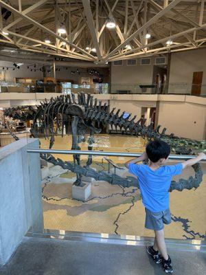 Utah Field House of Natural History State Park Museum