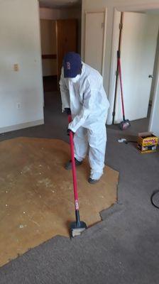 Carpets removal