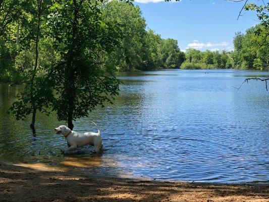 Soldan Dog Park