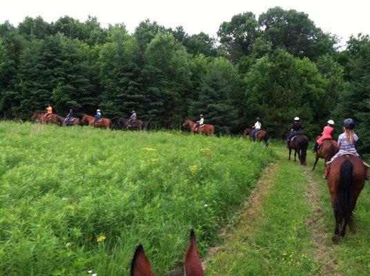 Trail ride in the summer