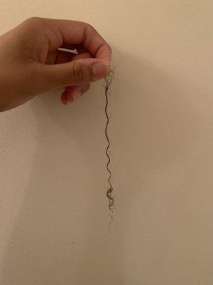 Strand of hair fell out after washing it