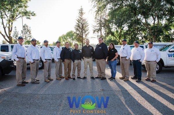 Meet The Wow Team!