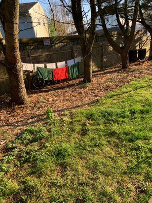 Pure filth they do laundry and hang outside. I see them washing their hair and brushing their teeth outside.