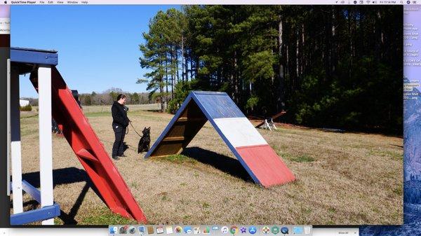 Playground training area