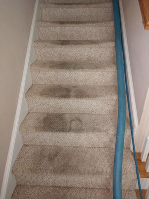 Amazing stairwell transformation! Of course this is the soiled "before" picture. Watch the amazing difference.