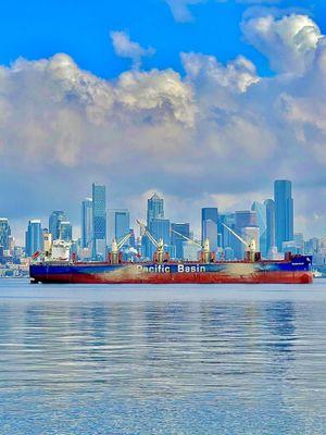 Alki Beach view of City