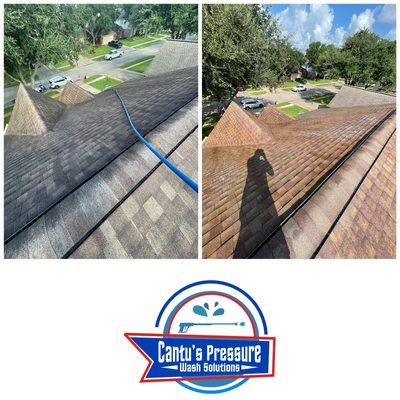 Roof low pressure soft washing.