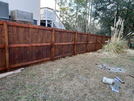 Fence ( stain )