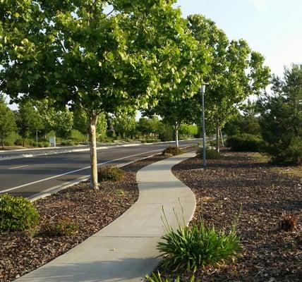 Beautiful sidewalk pathways all around the Plumas Lake community!