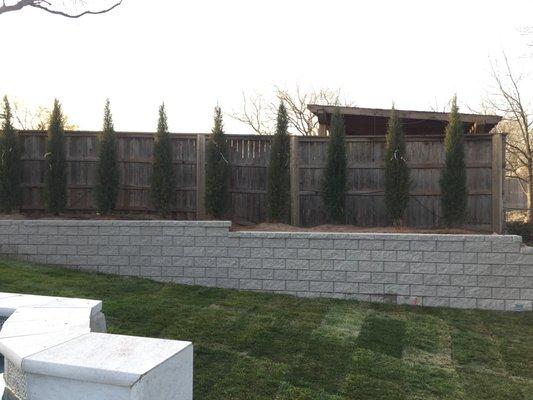 Retaining wall & Landscape