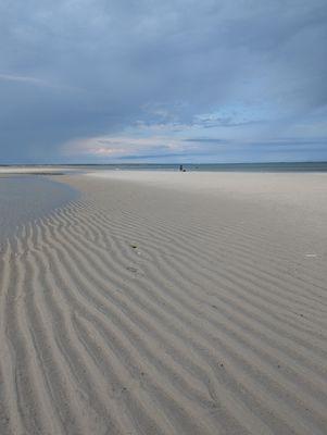 Chapin Beach low tide