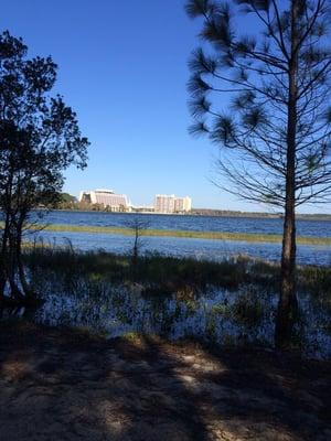 Looking toward Disney's Contemporary Resort from Ft Wilderness Campgrounds.