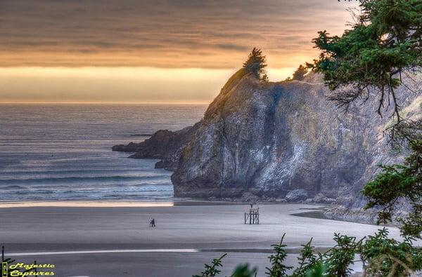 The Beach behind Tyee