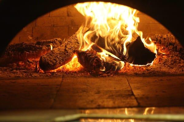 Our oven where all the magic happens!  Took 29 days to complete.  We're making sure it lasts generations to come!