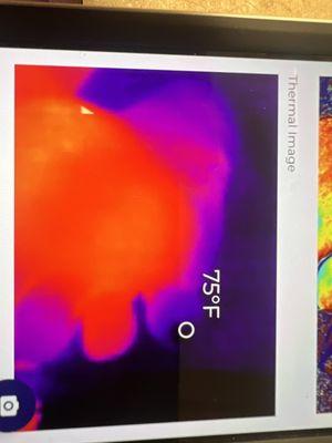 Thermography of the skin